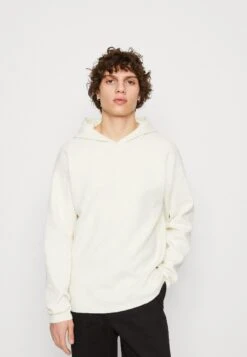 JACK&JONES Premium JPRBLANIKI HOODIE - Trui