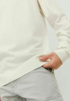 Jack & Jones CREW NECK - Trui 13 Jack & Jones CREW NECK - Trui -Jack & Jones Winkel 70f698ec5db346cd818586111a1f822f