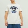 Jack & Jones Crew Neck - T-Shirt Print - Moonbeam -Jack & Jones Winkel 74cb93c8549746c8b7baac6af8473623