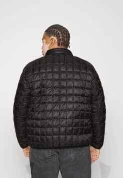 Jack & Jones JPRCCFROST LIGHT JACKET - Korte Jassen -Jack & Jones Winkel 75f76ad25f884b1a9cd9caf73e3187a0