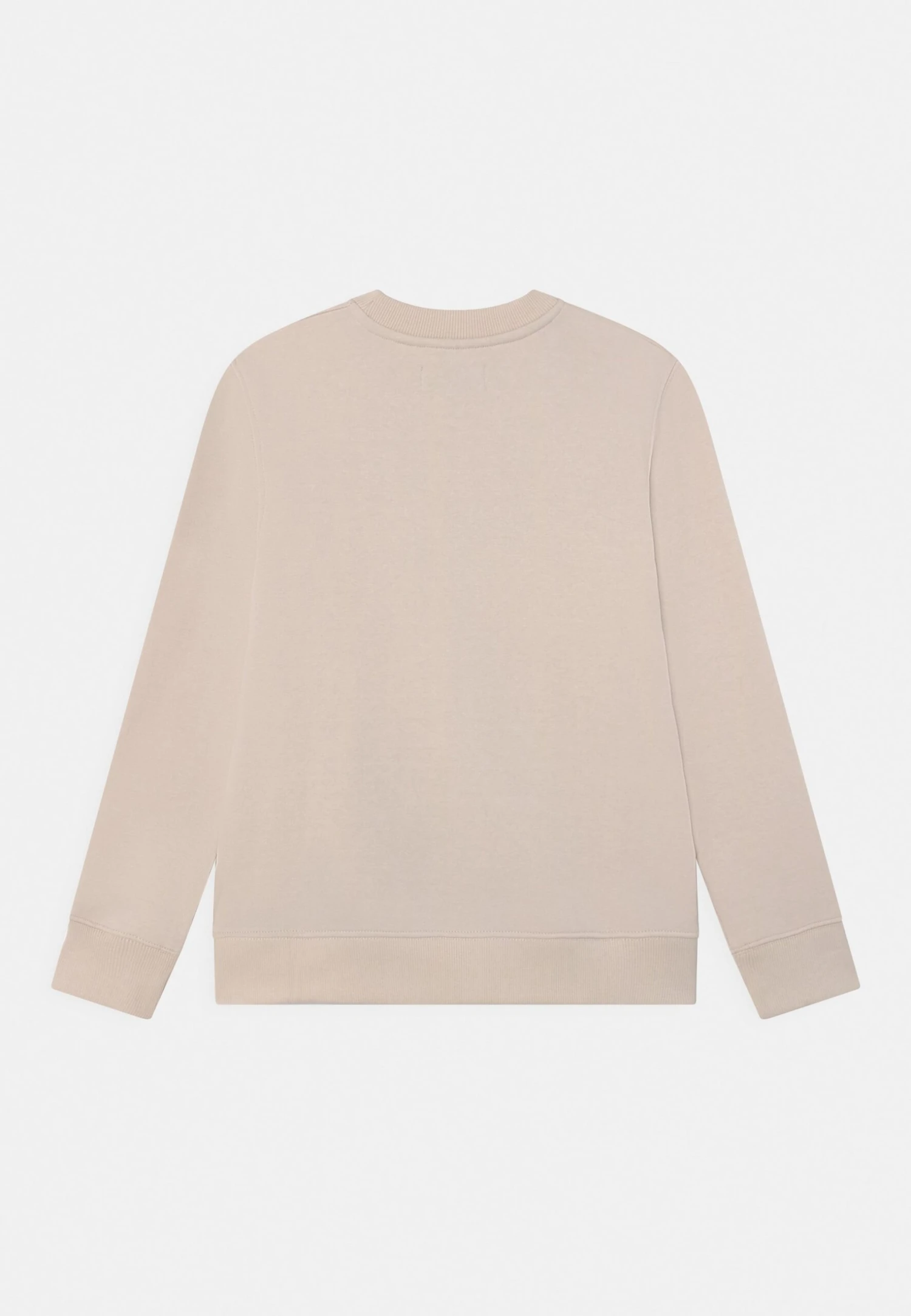 Jack & Jones Junior Jorriverside Crew Neck Jnr - Sweater - Moonbeam 4 Jack & Jones Junior Jorriverside Crew Neck Jnr - Sweater - Moonbeam - Afbeelding 2