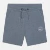 Jack & Jones Junior Jji Shark Jr - Trainingsbroek - Blue 2 Jack & Jones Junior Jji Shark Jr - Trainingsbroek - Blue -Jack & Jones Winkel dd06db76878840ab8636bc5c86ec1812
