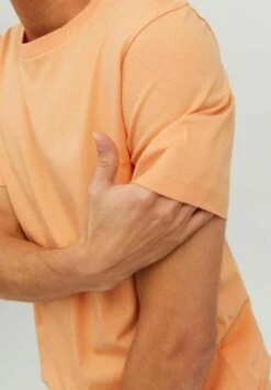 Jack & Jones JJEORGANIC BASIC SS O NECK NOOS - T-shirt Basic 12 Jack & Jones JJEORGANIC BASIC SS O NECK NOOS - T-shirt Basic -Jack & Jones Winkel e6d5d30d260241778f620fa9e959e28f